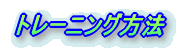 �g���[�j���O���@