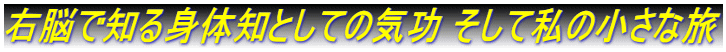 右脳で知る身体知としての気功 そして私の小さな旅