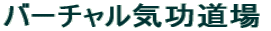 �o�[�`�����C������