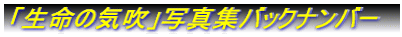 űCvʐ^WobNio[